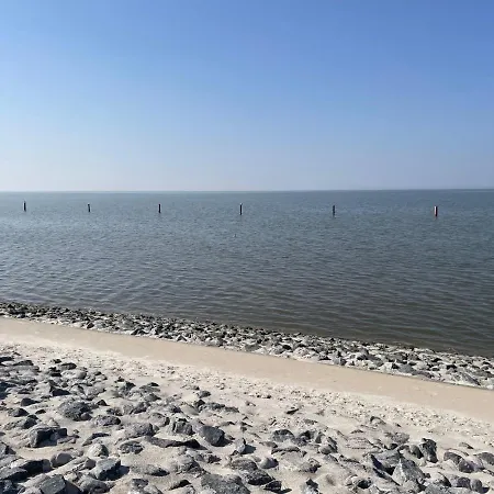 Störtebeker *
